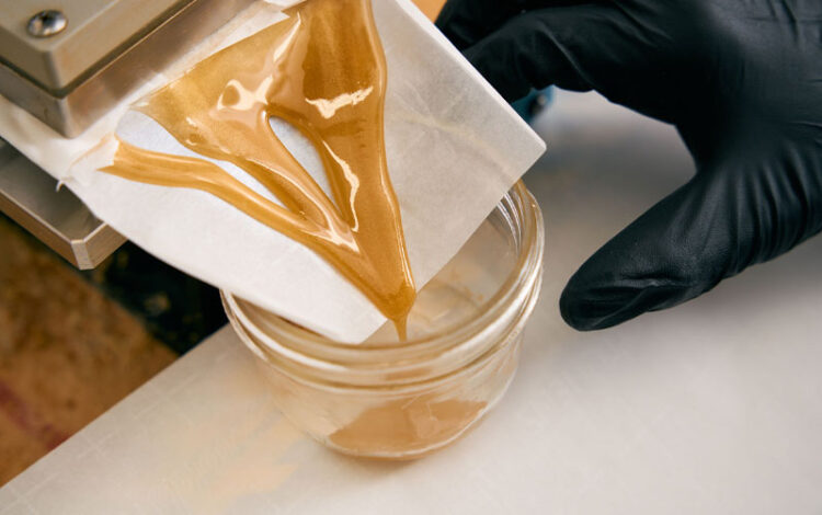 Things You Should Know About Cannabis Rosin