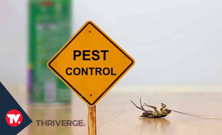 5 Questions You Should Ask About Pest Control