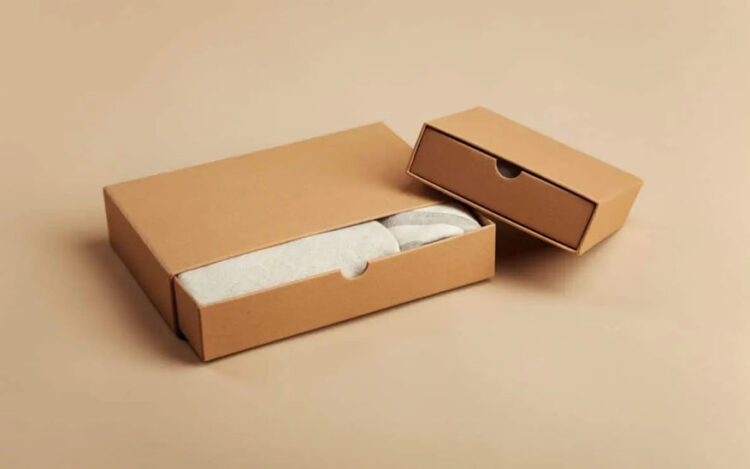 Innovative Packaging Solutions: The Versatility of Custom Mailer Boxes