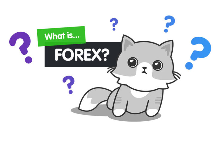 The Complete Beginner's Guide to Forex Trading