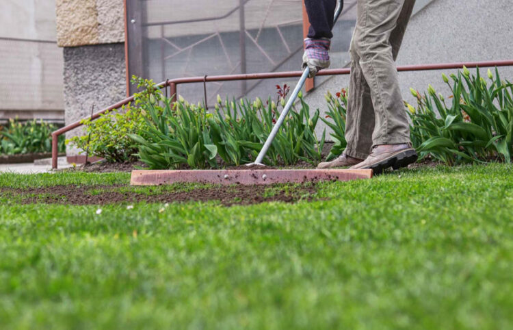 Leveling a Lawn or Backyard Through Proper Grading