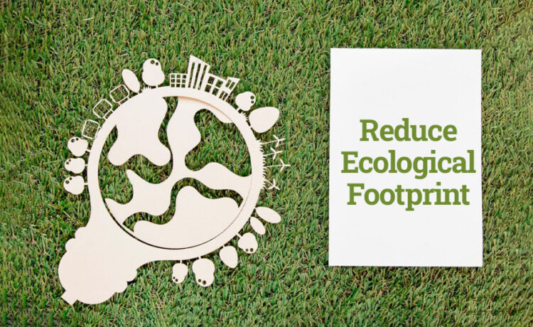 Simple Ways to Reduce Ecological Footprint
